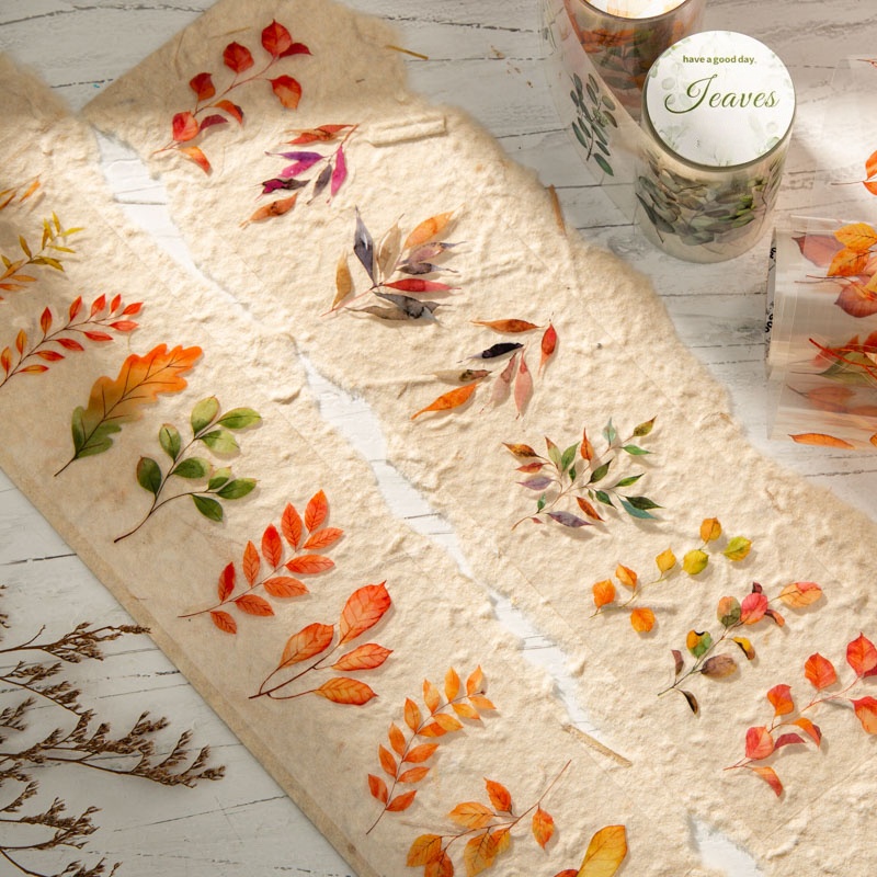 6롤 6cm×200cm 낙엽 테마 펫 다이컷 테이프,  - Art Craft Using Leaves 리뷰 및 가격